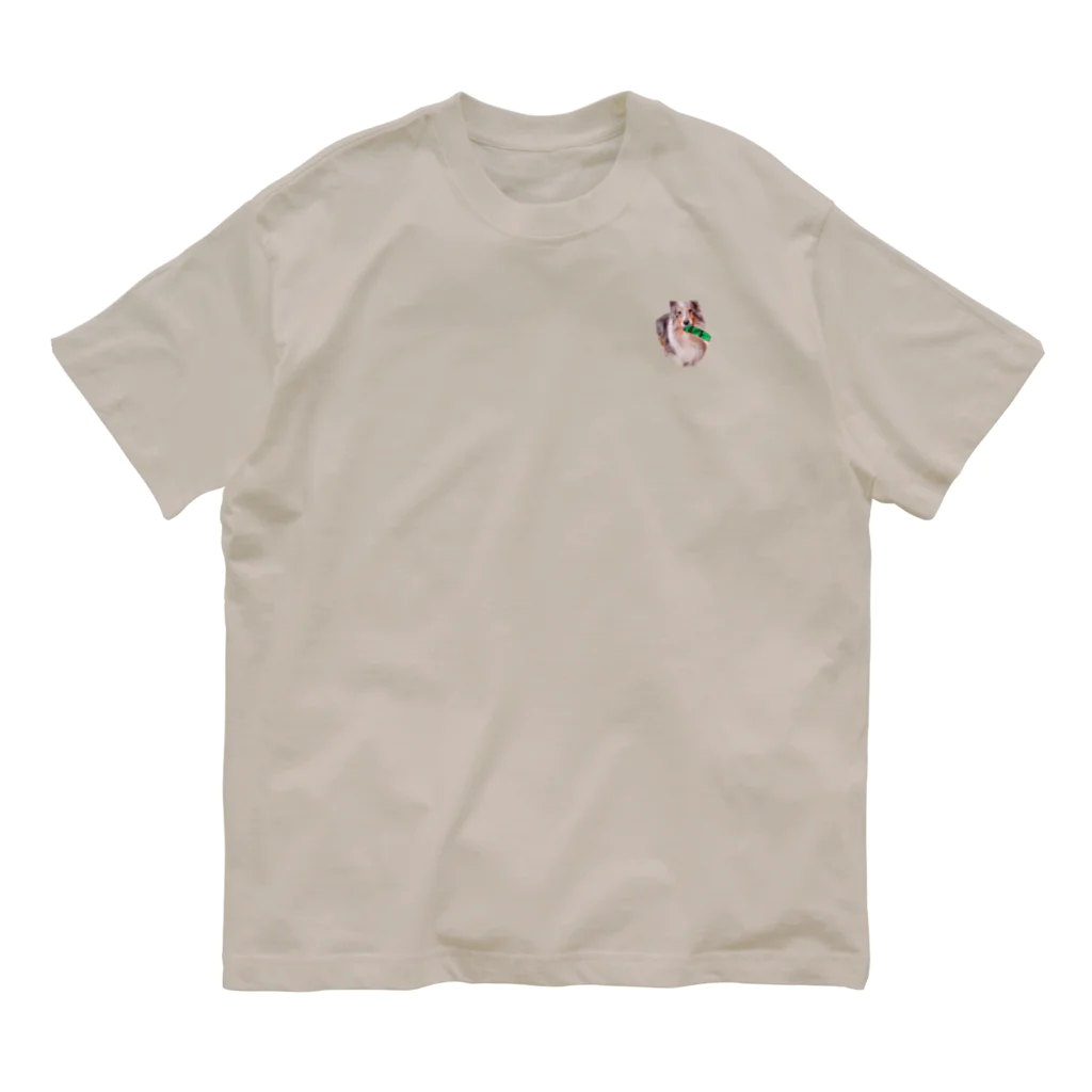 ちむのちむ① Organic Cotton T-Shirt