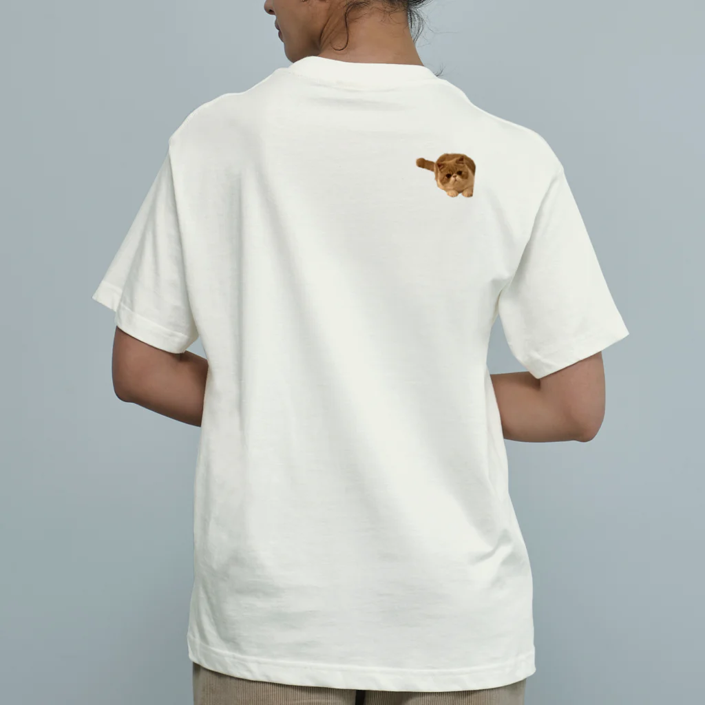 odabowのごはんまだⅢ Organic Cotton T-Shirt