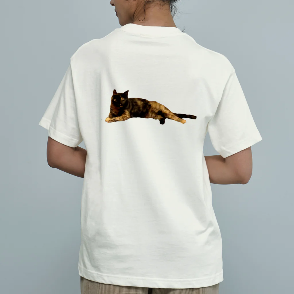 水彩屋のサビ猫で虎柄 オーガニックコットンTシャツ