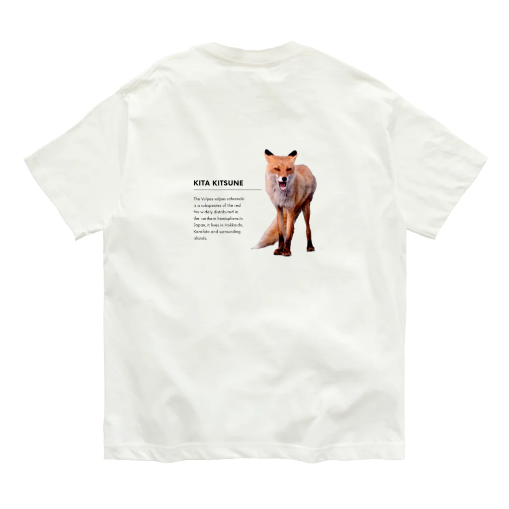 Chino.の北海道へ行こう ～キタキツネ～ Organic Cotton T-Shirt