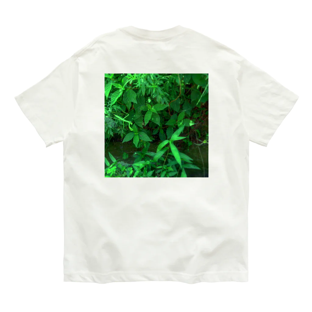 村中龍之介のみどり Organic Cotton T-Shirt