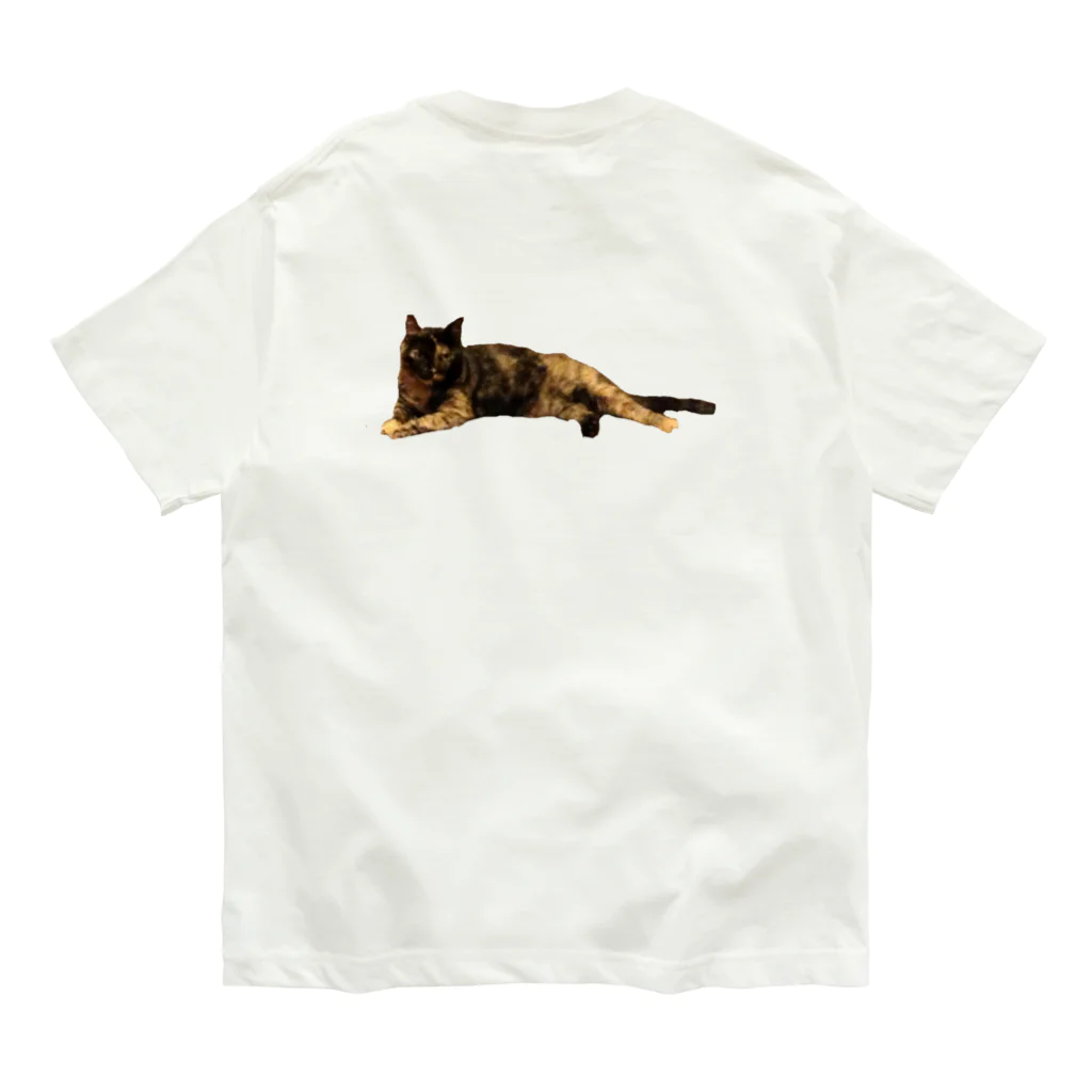 水彩屋のサビ猫で虎柄 オーガニックコットンTシャツ