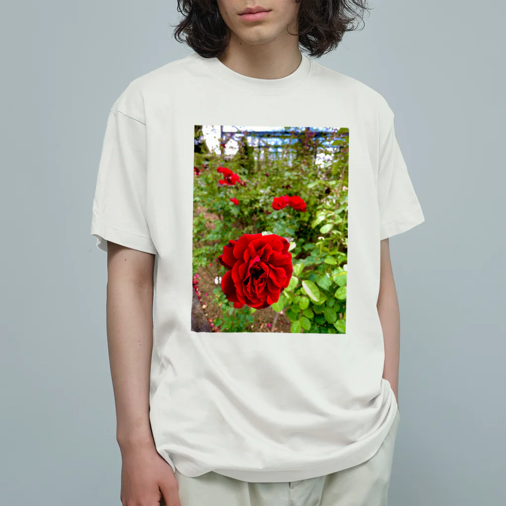 sceneryの赤い花 オーガニックコットンTシャツ