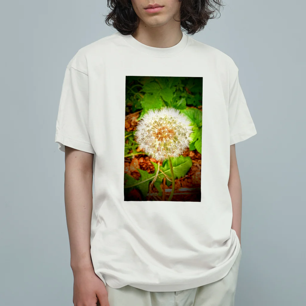 solabuluの春の綿帽子 Organic Cotton T-Shirt