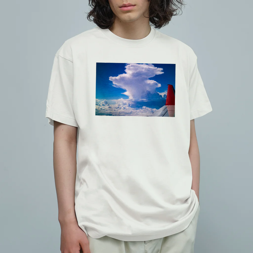 Un-Obliviateの夏嵐 オーガニックコットンTシャツ