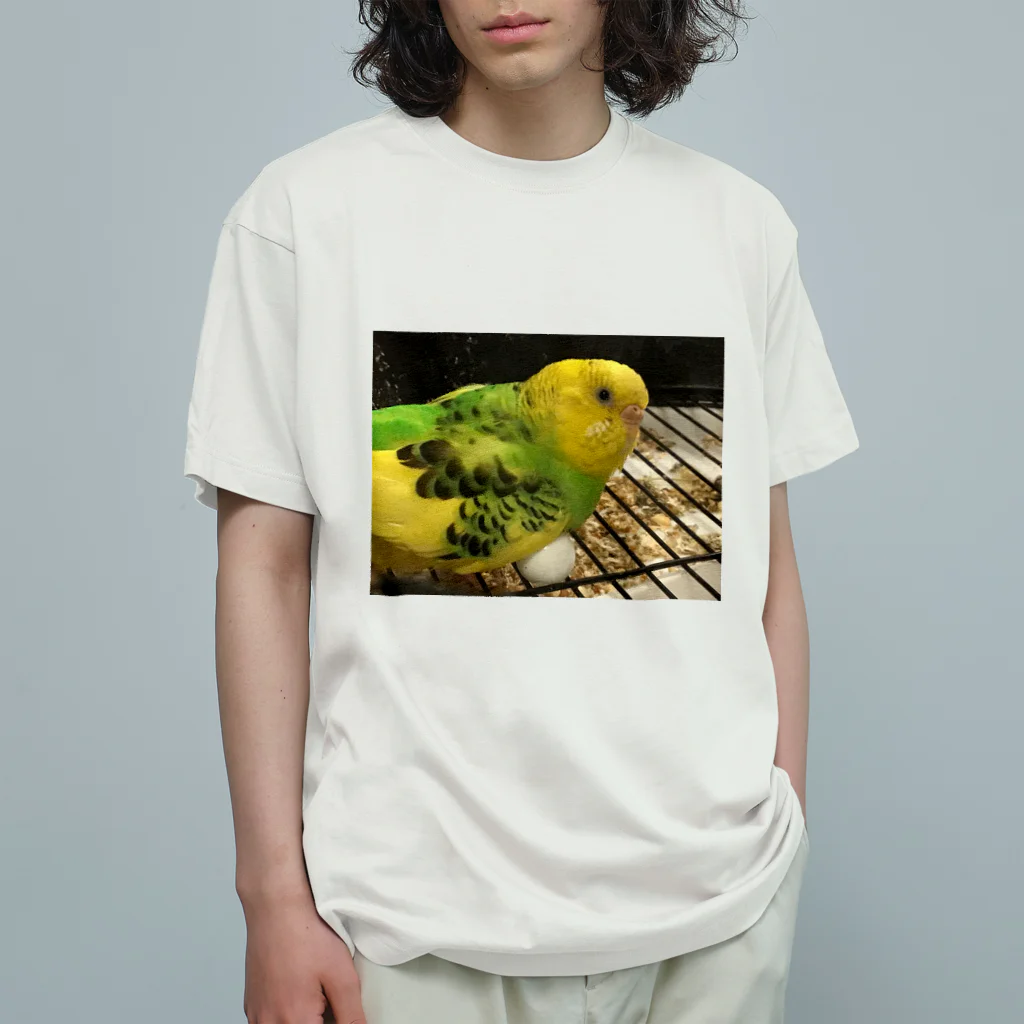 カエルのインコ　ああねむ〜 Organic Cotton T-Shirt