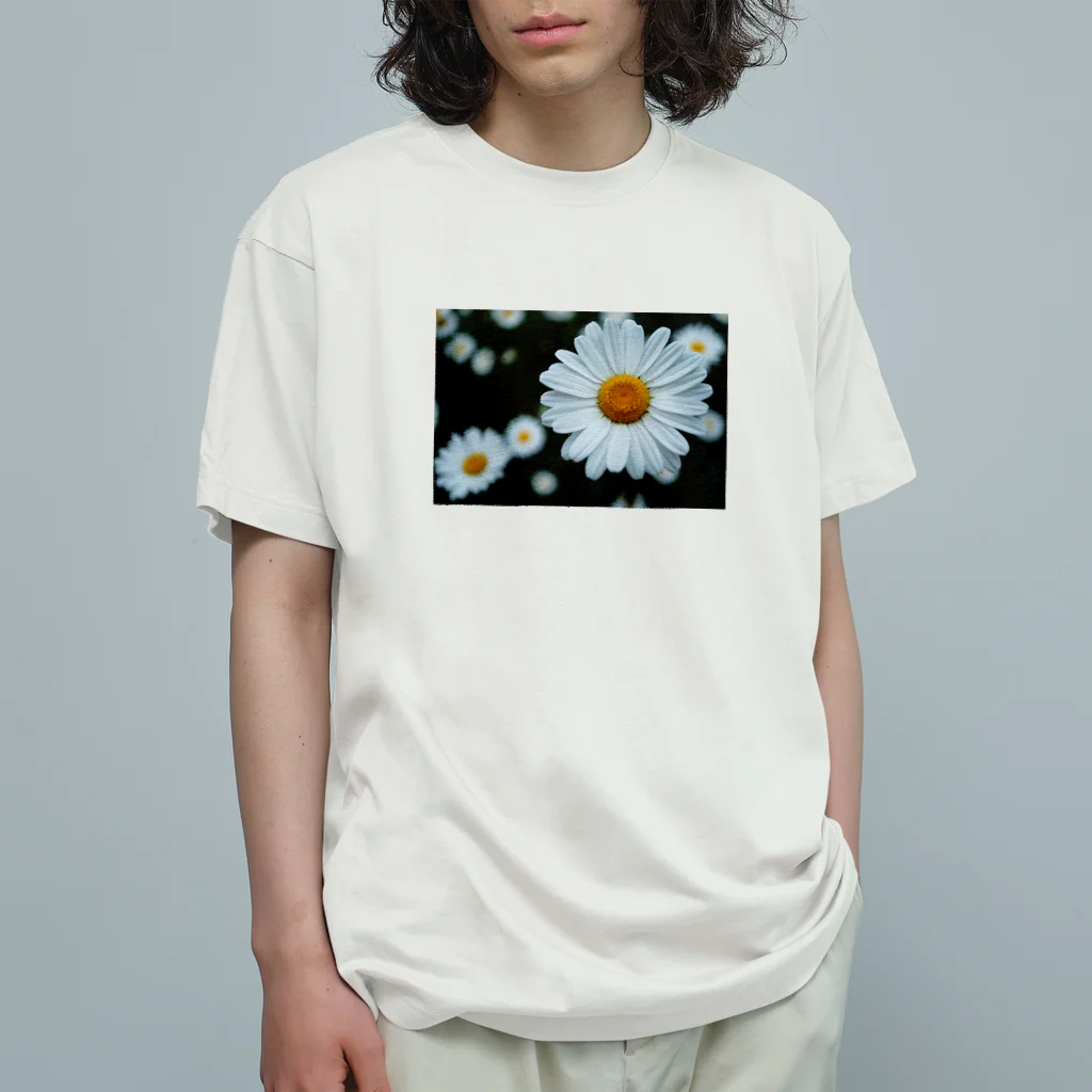 Petal N' FeatherのShambara オーガニックコットンTシャツ