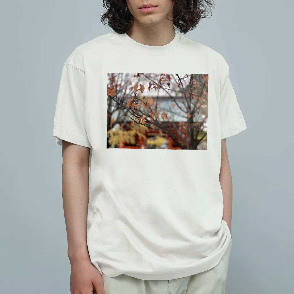 👀キョロの👀T:秋向けのphotoTシャツ オーガニックコットンTシャツ