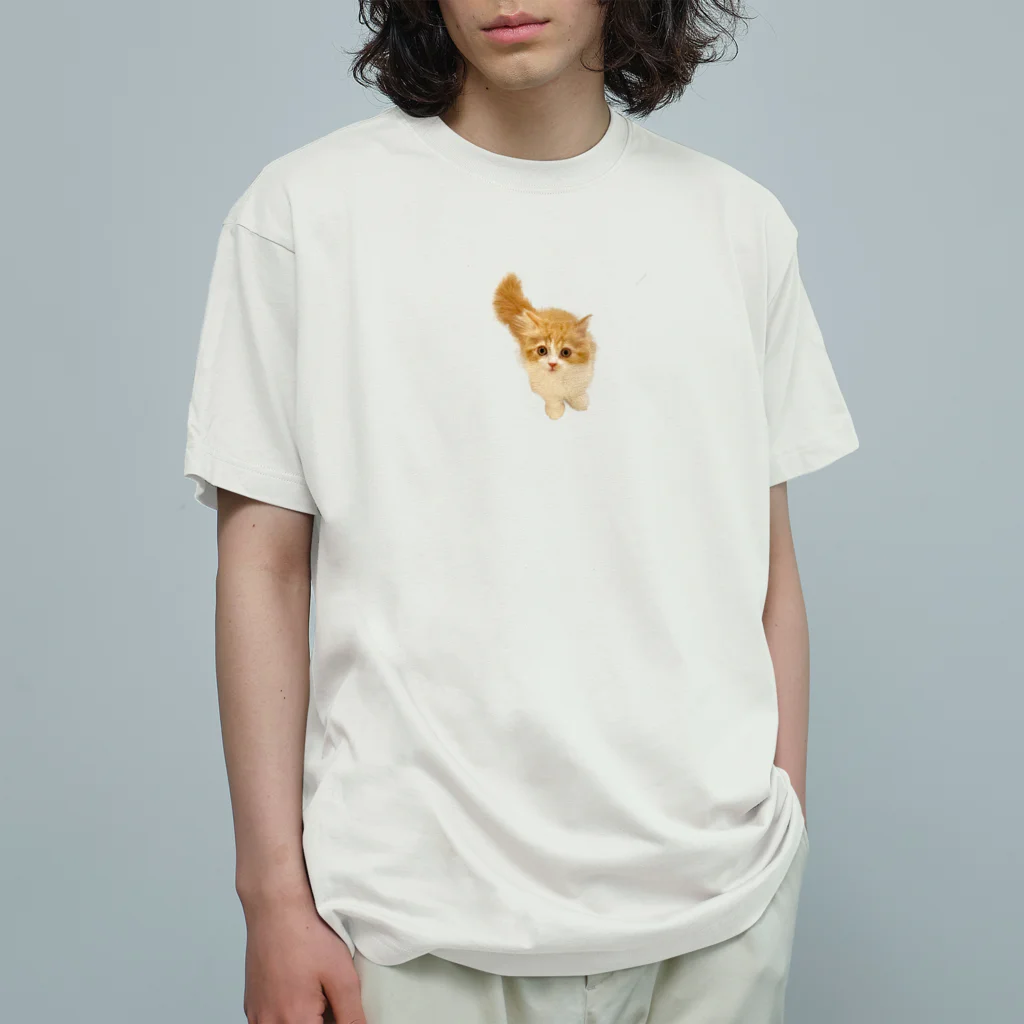 recy_coのこっちをみるねこ Organic Cotton T-Shirt