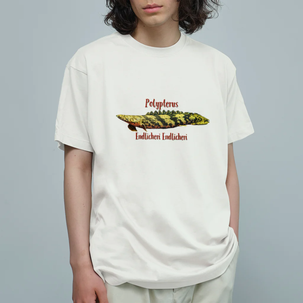 KazFishのポリプテルスエンドリケリー オーガニックコットンTシャツ