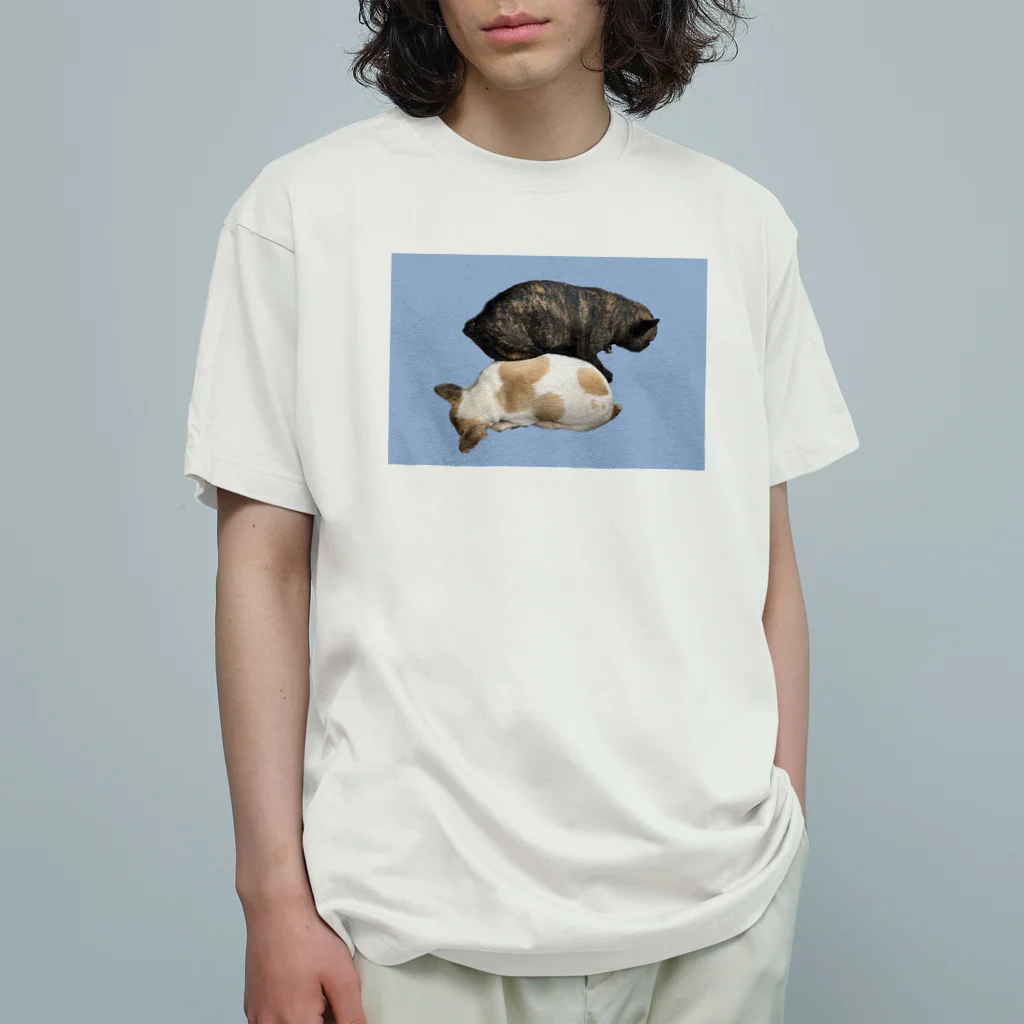 イレブンラグのルーシーロージー／LURO C.Z. Organic Cotton T-Shirt