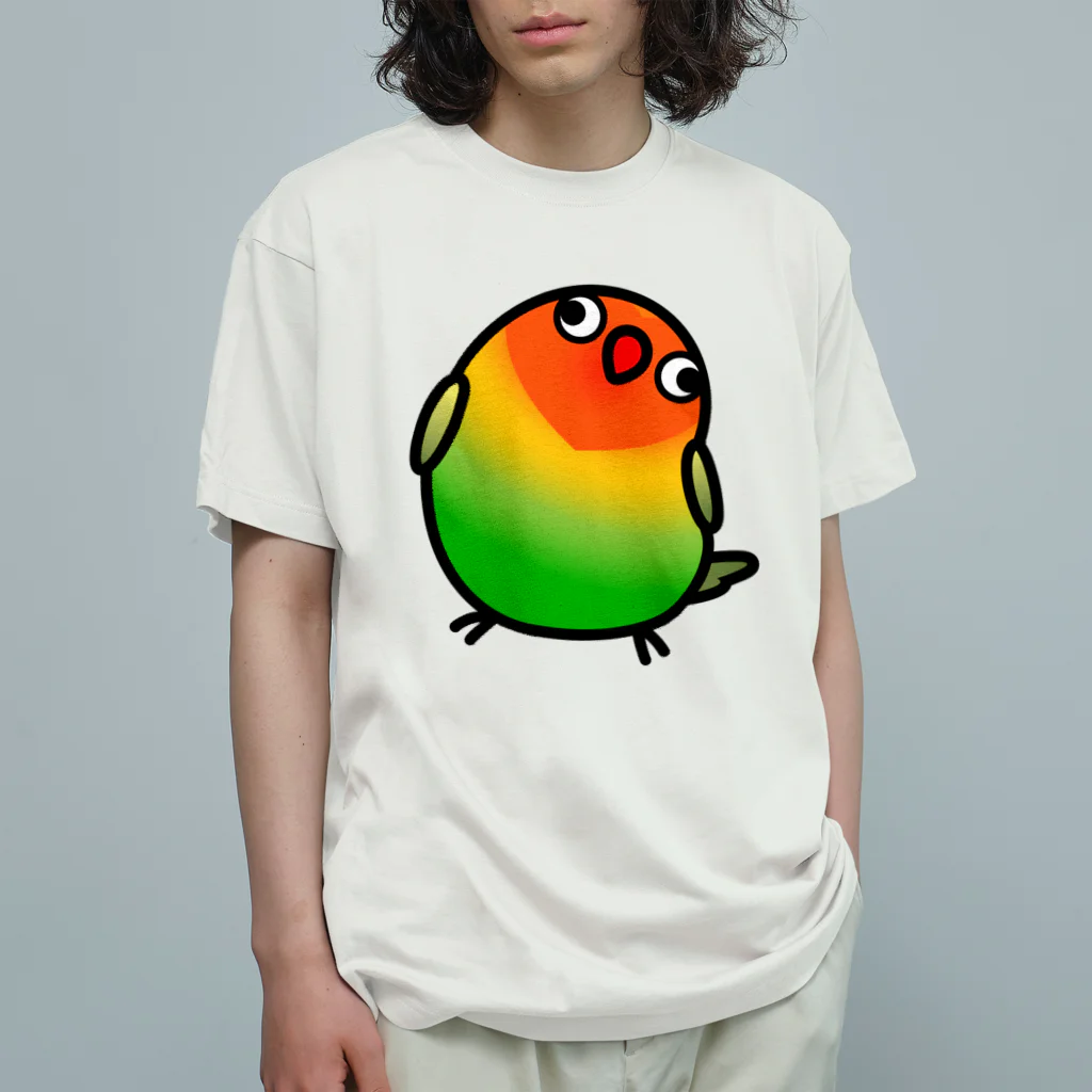 Cody the LovebirdのChubby Bird ルリゴシボタンインコ オーガニックコットンTシャツ