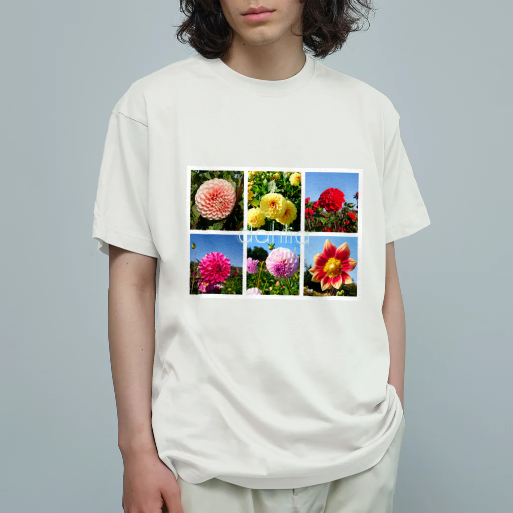 aasのダリア　DAHLIA オーガニックコットンTシャツ