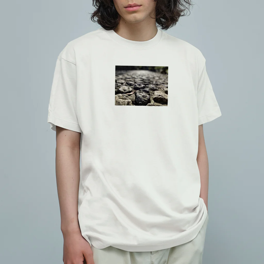 HIROMI10の石畳 Organic Cotton T-Shirt