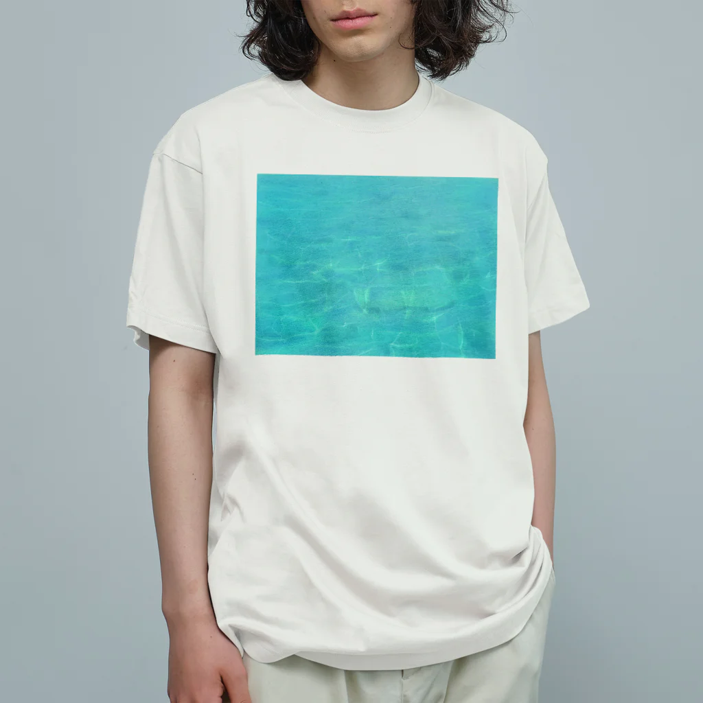 ガジュマルの箱のニシ浜ブルー Organic Cotton T-Shirt