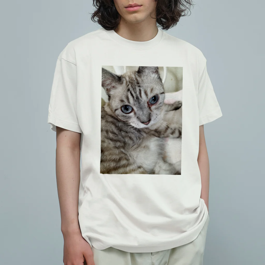 ねこの森でお散歩のフッワフワのシャムミックス Organic Cotton T-Shirt