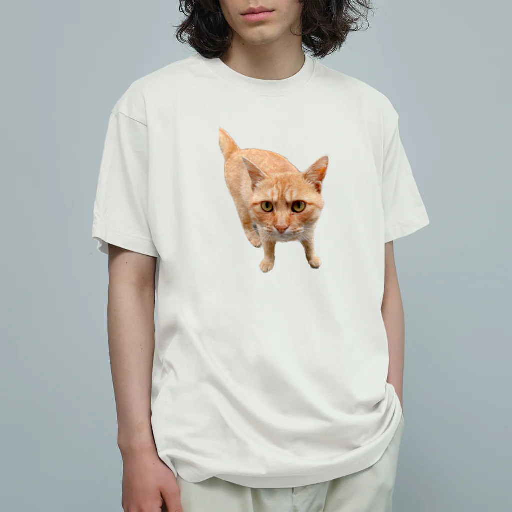 sukiatsumeの見つめるトラ猫 オーガニックコットンTシャツ