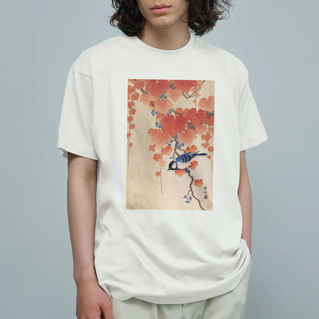 寿めでたや(ukiyoe)の蔦に四十雀 オーガニックコットンTシャツ