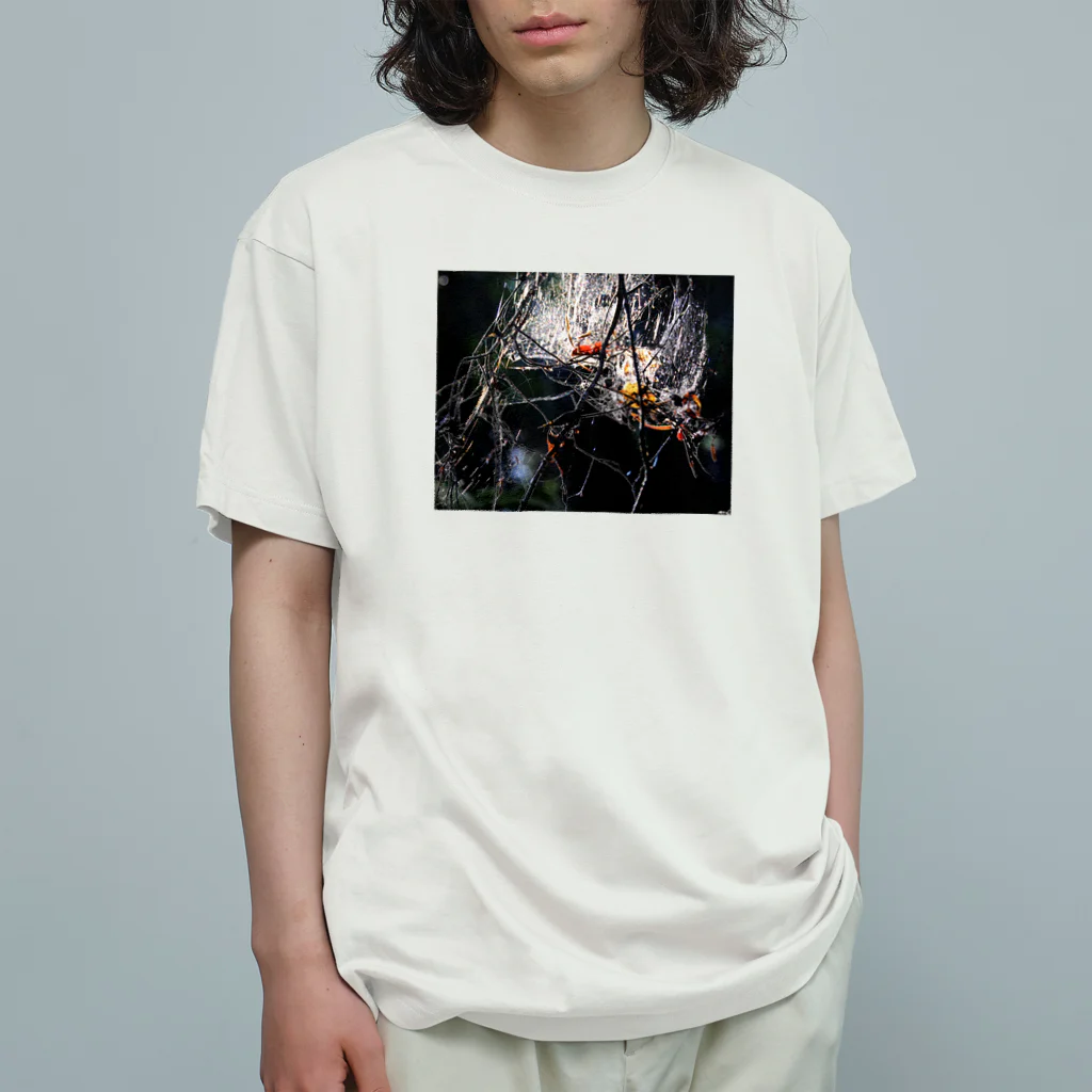 自然の写真とクルマのイラスト屋の自然 オーガニックコットンTシャツ