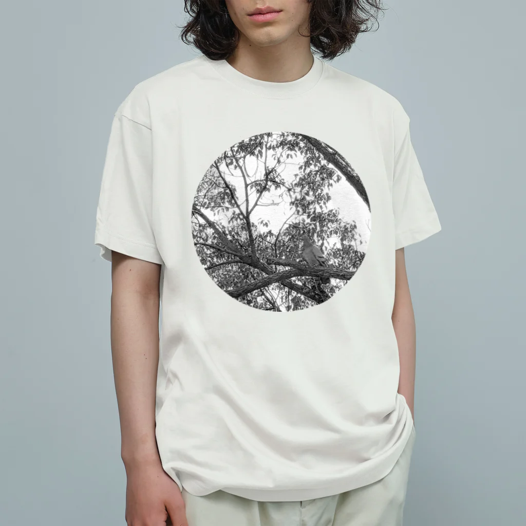 ケンタウルスの露のフォトデザイン(モノクローム・ピジョン) オーガニックコットンTシャツ