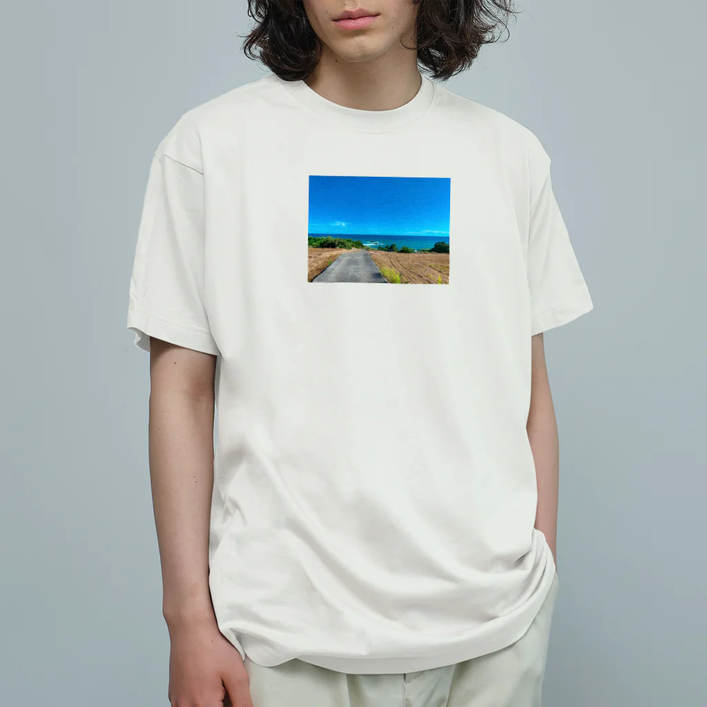 あらいぐまの水平線 オーガニックコットンTシャツ