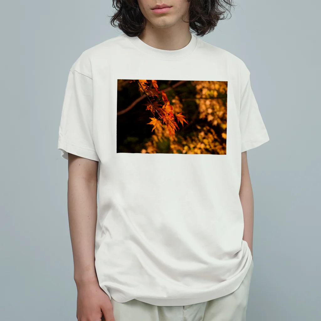 nokkccaのライトアップ紅葉 - Japanese maple(night shot) - Organic Cotton T-Shirt