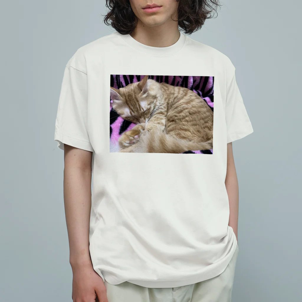 トロールショップの我が家のお眠り中の猫 Organic Cotton T-Shirt