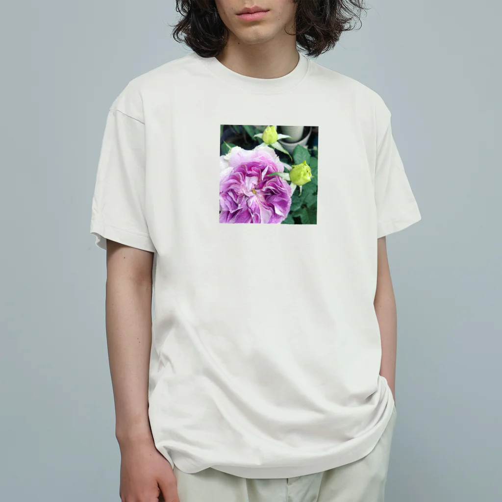 Scented Gardenの薔薇　ブルームーンストーン オーガニックコットンTシャツ