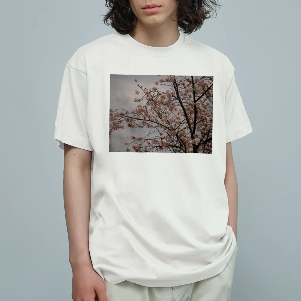 ムーンライトのレトロSAKURA オーガニックコットンTシャツ