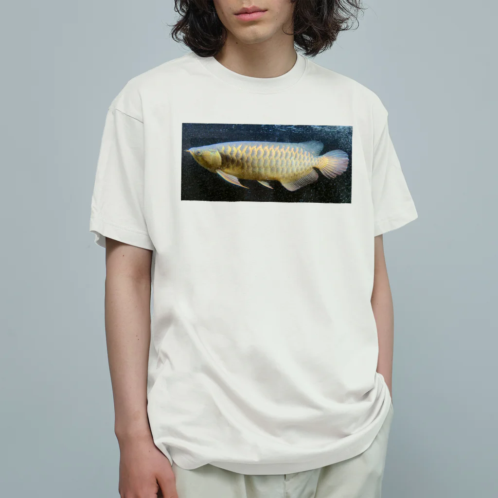 KazFishの過背金龍 Organic Cotton T-Shirt