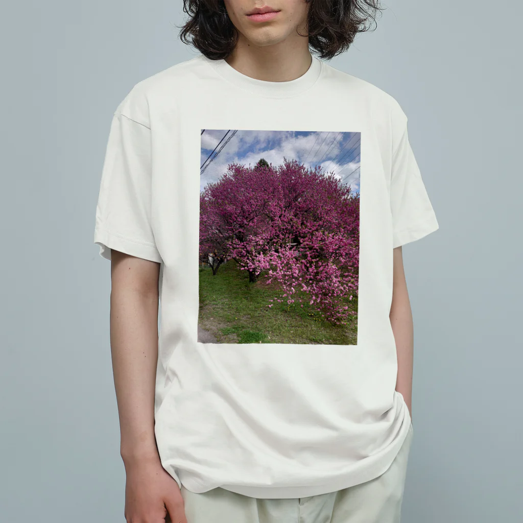 so:stone'sのシーズンTシャツ。 Organic Cotton T-Shirt