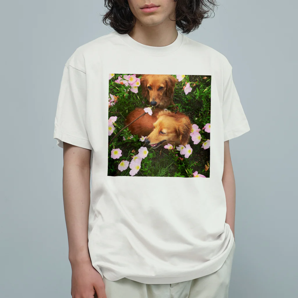 あとりえkittenのダックスのマロンとカプチーノと花畑 Organic Cotton T-Shirt