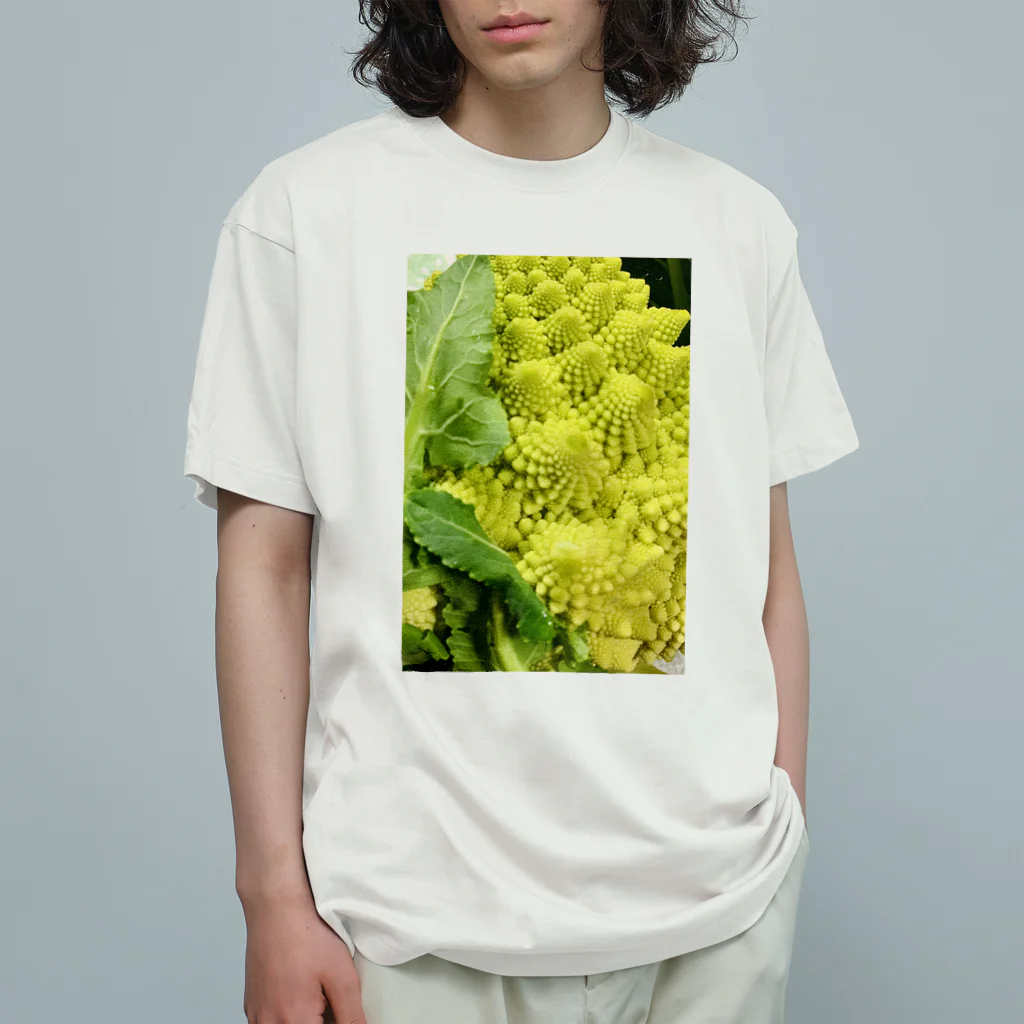写真好き@いぐのロマネスコ Organic Cotton T-Shirt