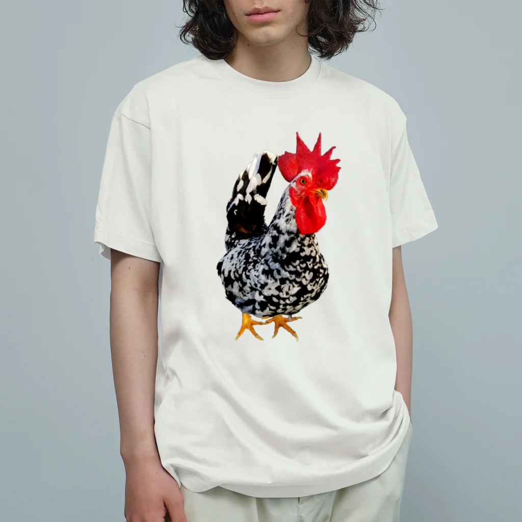 うずぴよの碁石チャボくん オーガニックコットンTシャツ