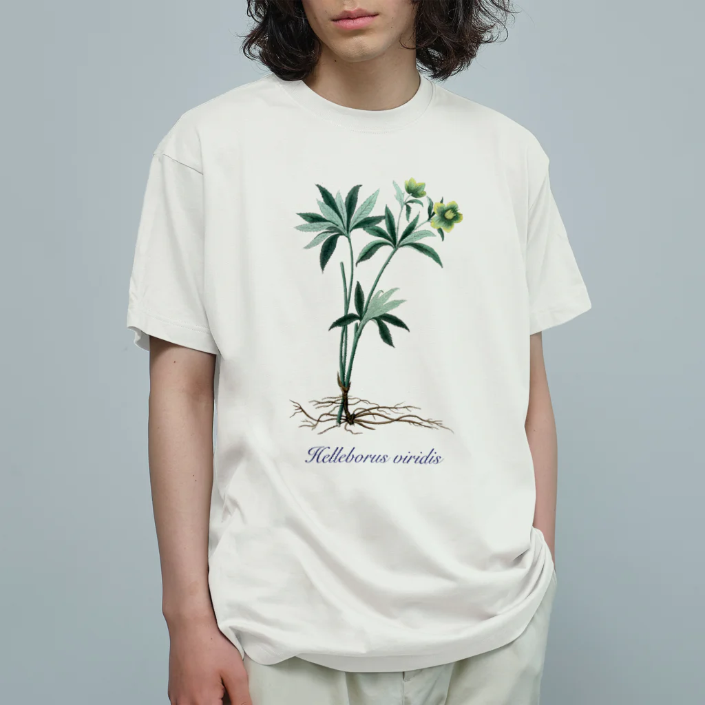 Nursery Rhymes  【アンティークデザインショップ】のクリスマスローズ - アサギフユボタン Organic Cotton T-Shirt