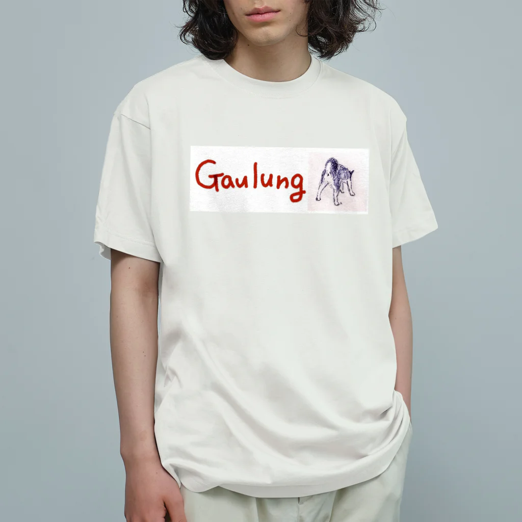 クボタユキのGaulungガウロン オーガニックコットンTシャツ