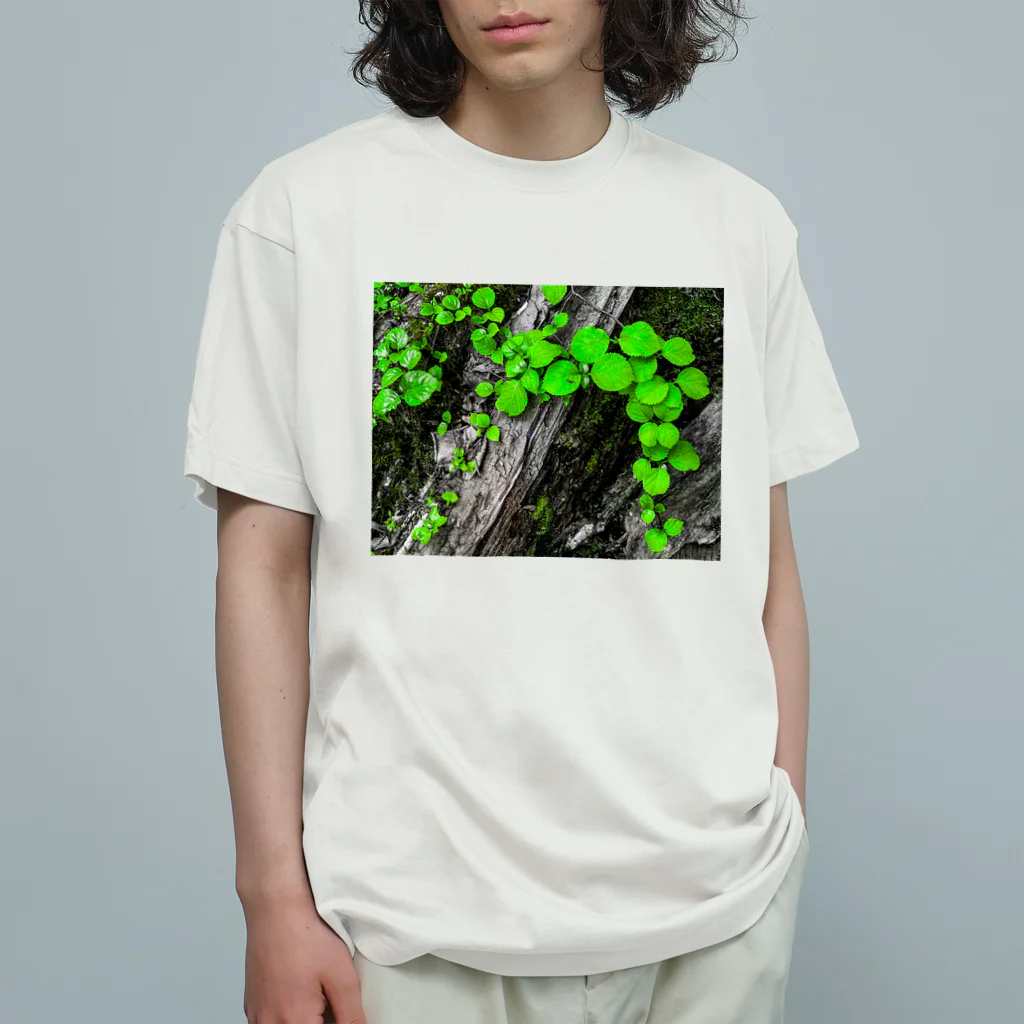 suparnaの探究 オーガニックコットンTシャツ