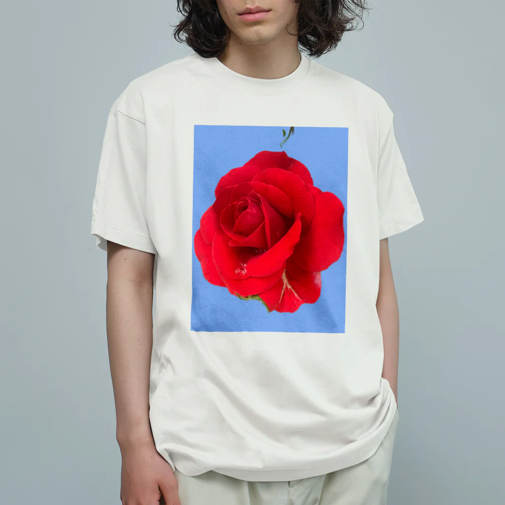 Keykenluの夏にぴったり！ローズスカイ Organic Cotton T-Shirt