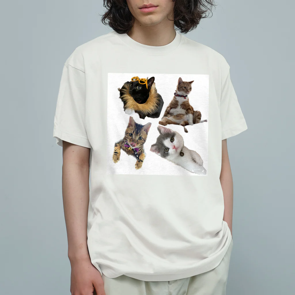 いくママ 猫との毎日の全員集合 オーガニックコットンTシャツ