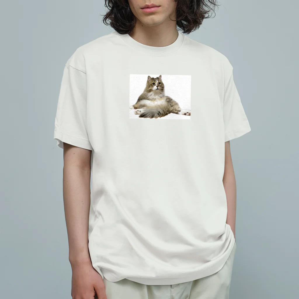 onarisanちのにゃんこたちのおすわりこむにゃんこ Organic Cotton T-Shirt