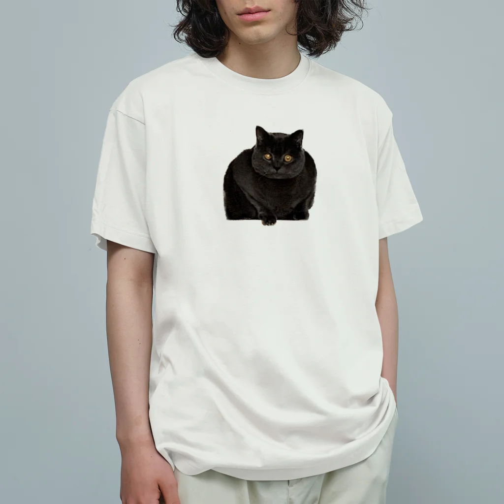 ててちゃんのおみせのI am ready. Organic Cotton T-Shirt