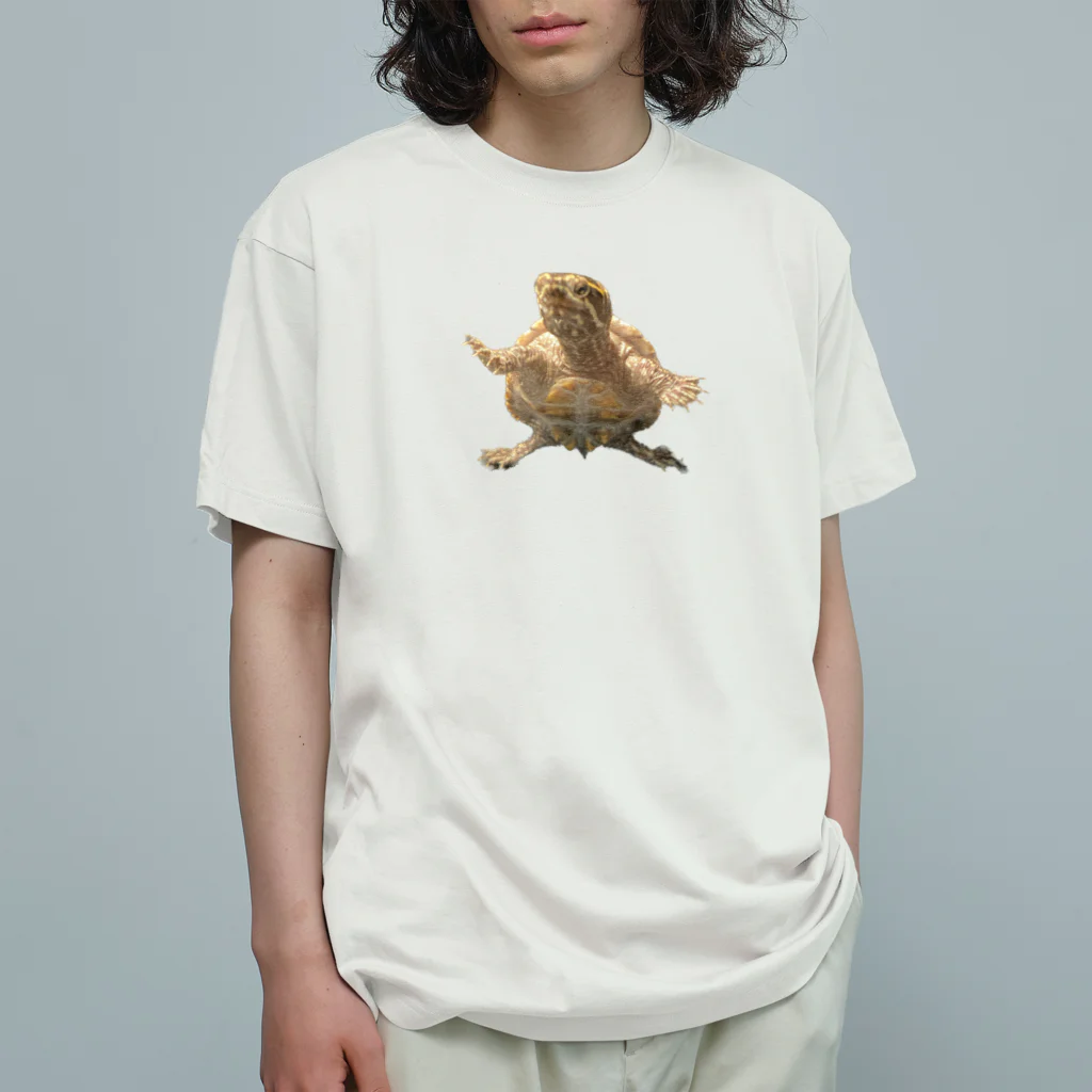 ミシシッピニオイガメの、こてちゃんのコテちゃんだよー！ Organic Cotton T-Shirt