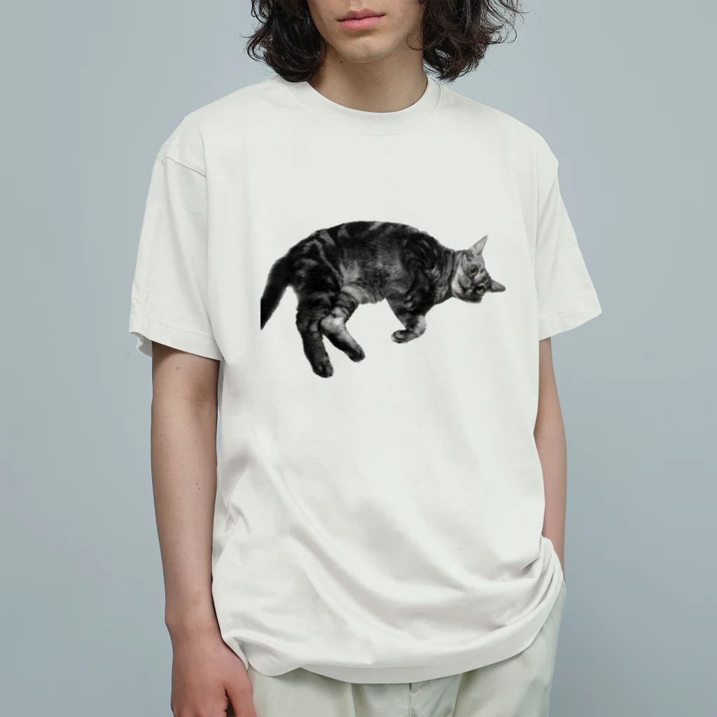 アメショーのひめちゃんのアメショーのひめちゃん⑥ オーガニックコットンTシャツ