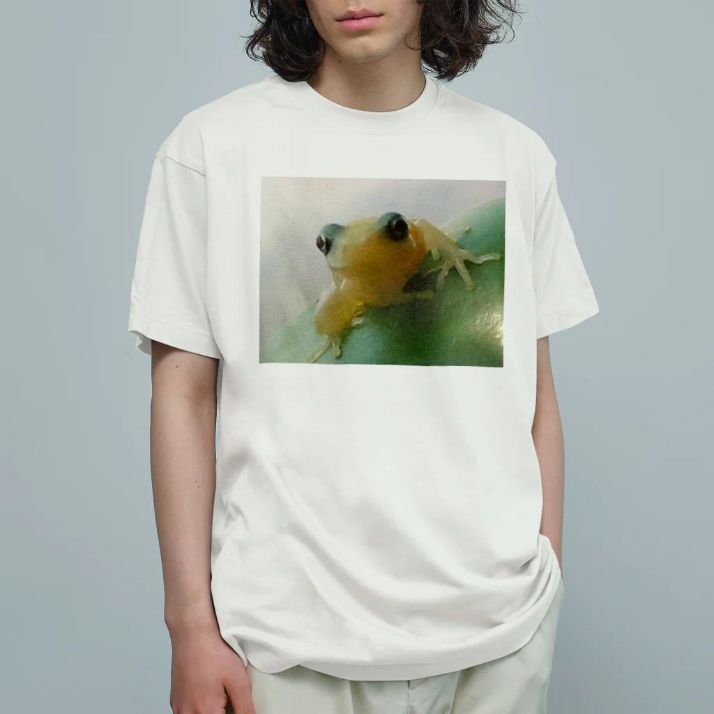 愛太陽の白かえる Organic Cotton T-Shirt