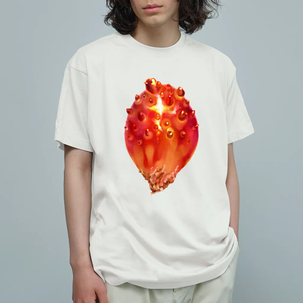 カンダ商店のほや Organic Cotton T-Shirt