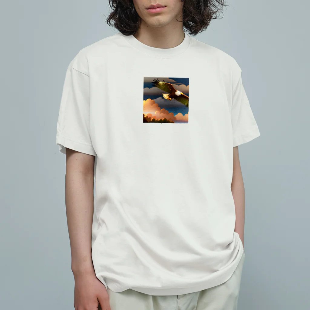 kkgoodsの鷹のグッズ オーガニックコットンTシャツ