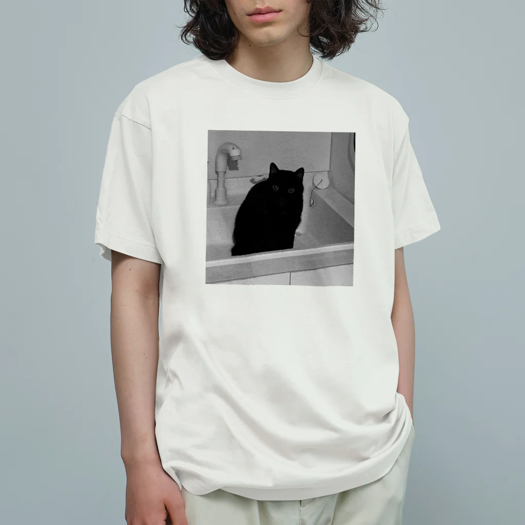 深夜の猫屋さんの深夜猫 オーガニックコットンTシャツ