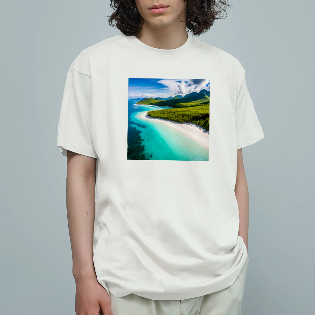 DapperMixの空からの楽園、透明な海グッズ オーガニックコットンTシャツ