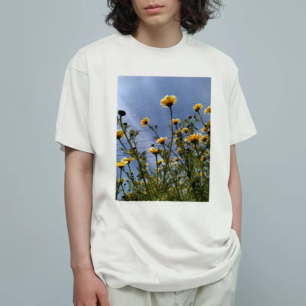 MMの黄色い春菊の花 オーガニックコットンTシャツ