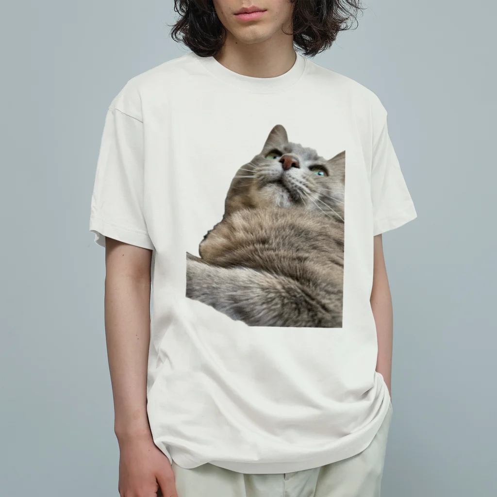 グレージュ猫ロッタン🐈‍⬛のよそ見ロッタン Organic Cotton T-Shirt